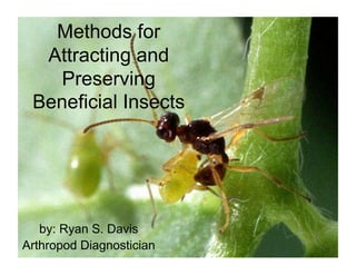 Methods for
   Attracting and
    Preserving
  Beneficial Insects




   by: Ryan S. Davis
Arthropod DiagnosticianDavis IPM and Biocontrol
                   Ryan S.
 