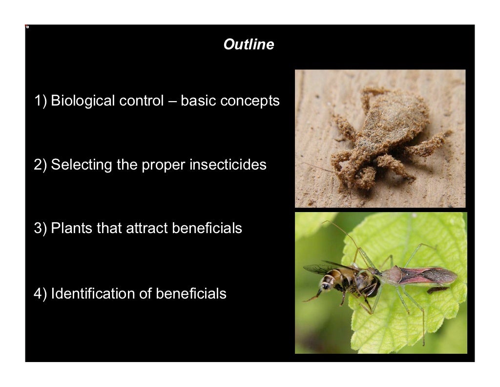 Methods for Attracting and Preserving Beneficial Insects