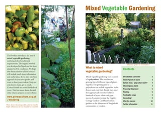 Mixed Vegetable Gardening




 This booklet introduces the idea of
 mixed vegetable gardening,
 outlining its key benefits and
 requirements. The original method                                                                 Abundant garden by Garden Buzz
 was developed in Nepal and has been
 adapted to UK conditions. We hope               What is mixed                                Contents
 that future editions of this booklet            vegetable gardening?
 will include much more information
 and useful ideas. If you have tried this        Mixed vegetable gardening is an example      Introduction & overview                2
 approach in your own garden and                 of a polyculture. The word means             Table of plants in layers              3
 want to share your wisdom / top tips            growing lots of different types of plants    So how does a poly-culture work?       4
 and photos please get in touch.                 together. The growing mix in a
                                                                                              Choosing your plants                   4
 Contact details are on the inside back          polyculture can include vegetables, herbs,
                                                                                              Preparing the ground                   5
 cover. Find out more about this and             flowers and even fruit. People have used
 other related projects on our website:          this approach all over the world for         Planting                               5
                                                 hundreds of years, often with great          Tending the crops                      6
 www.permaculture.org.uk                         success. Examples include the English        Harvesting!                            9
 /mixedveg                                       Cottage Garden, Caribbean kitchen            After the harvest                     10
                                                 gardens or the allotments of Bangladeshi     Further information                   11
Photo above: Mixed vegetable salad by Nonelvis
Right: Allotments in East London by LoopZilla    communities in London.
 