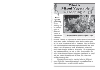 What is
                                                                                                Mixed Vegetable




The Farmers' Handbook - "Near The House 2", Chapter 3 - Mixed VEgetable Gardening
                                                                                                 Gardening ?
                                                                                      Mixed
                                                                                    vegetable
                                                                                    gardening
                                                                                    means
                                                                                    planting lots
                                                                                    of different
                                                                                    types of
                                                                                    plants to-
                                                                                    gether. In
                                                                                    conventional        A mixed vegetable garden, Begnas, Nepal
                                                                                    gardening,
                                                                                    different varieties of vegetable are usually planted in different
                                                                                    areas of the garden. So cabbage, onion, lettuce, radish, pea,
                                                                                    etc. are all in their separate places. However, there are benefi-
                                                                                    cial relationships between many types of vegetable and herb
                                                                                    plants, which help them to grow. When plants grow sepa-
                                                                                    rately, these benefits are lost to the system. This is one reason
                                                                                    why various problems can start to affect the vegetables. To
                                                                                    solve these problems farmers must then work harder at weed-
                                                                                    ing, pest control, irrigation, etc. Without this extra work,
                                                                                    production can be lost.
                                                                                          Mixing different species together helps the different
                                                                                    crops. So in this chapter information is provided on how to
                                                                                    plant and maintain a mixed vegetable garden.
 
