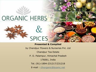 &
        Presented & Compiled
by Chandpur Flowers & Nurseries Pvt. Ltd
         Chandpur Tea Estate
   P. O. Palampur, Himachal Pradesh
             176061, India
    Tel. (91)-1894-231217/231218
    E-mail : cfnorganic@bcamc.net
 