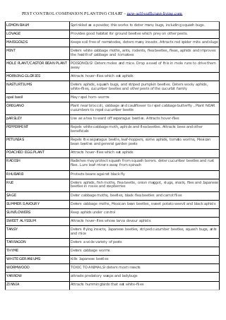 Pest Control Companion Planting Chart - New Self Sufficient Living