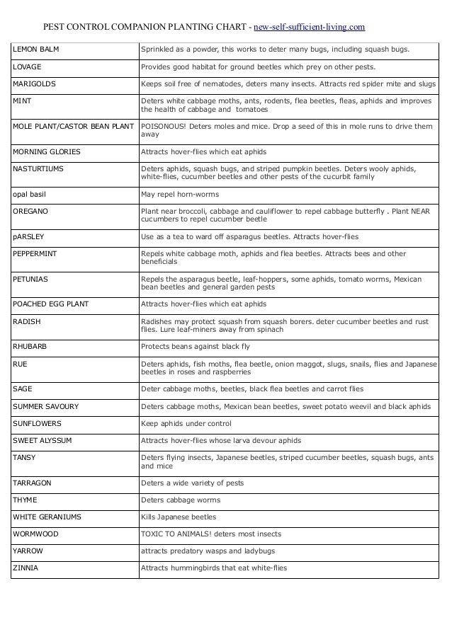 Pest Control Companion Planting Chart New Self