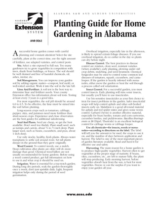 A labama          A & M    a n d    A ubur n        U n i v ersities




                                      Planting Guide for Home
                                      Gardening in Alabama
                ANR-0063




A      successful home garden comes with careful
       planning and constant attention! Select the site
carefully, plant at the correct time, use the right amount
                                                                      Overhead irrigation, especially late in the afternoon,
                                                                is likely to spread certain foliage diseases. If you use
                                                                overhead irrigation, do so earlier in the day so plants
                                                                can dry before night.
of fertilizer, use adapted varieties, and control pests.              Disease Control. The best practices in disease
     Site. Select a site exposed to full sun. Too many          control are rotation, clean seed, resistant varieties
gardeners try to grow vegetables in competition with            (when available), early planting, plowing under old
trees, shade from buildings, or fences. The soil should         crop debris, mulching, and seed treatment. Chemical
be well drained and free of harmful chemicals, oil,             fungicides may be used to control some common leaf
ashes, mortar, etc.                                             diseases of tomatoes, squash, cucumbers, and canta-
     Soil Management. You can improve your garden               loupes. If the garden is heavily infested with nema-
soil by adding organic matter—compost, leaf mold, or            todes, either move the garden or heat the soil through
well-rotted sawdust. Work it into the soil in the late fall.    a process called soil solarization.
     Lime And Fertilizer. A soil test is the best way to              Insect Control. For a successful garden, you must
determine lime and fertilizer needs. Your county                control insects. Early planting will miss some insects,
Extension office has information about soil tests. Testing      but usually you’ll have to use insecticides.
at least every 3 years is a good idea.                                Use bio-sensitive insecticides as your first choice to
     For most vegetables, the soil pH should be around          treat for insect problems in the garden. Safer insecticidal
6.0 to 6.5. To be effective, the lime must be mixed into        soaps will help control aphids and other soft-bodied
the soil before planting.                                       insects early on. Malathion is a good all-round material
     Long-season crops such as tomatoes, cabbage,               for aphids and red spider mites and gives some worm
pepper, okra, and potatoes need more fertilizer than            control. Carbaryl (Sevin) is another effective material,
short-season crops. Experience and close observation            especially for bean beetles, tomato and corn earworms,
are the best guides for additional sidedressing.                cucumber beetles, and pickleworms. Bacillus thuringi-
     Seed And Plants. Seed are cheap, so get the best           ensis or Bt (Dipel, Thuricide) is an excellent biological
available. Don’t seed too thickly. Plant small seed, such       control for cabbage worm or cabbage looper.
as turnips and carrots, about 1⁄ 4 to 1⁄ 2 inch deep. Plant           Use all chemicals—for insects, weeds or nema-
larger seed, such as beans, cucumbers, and peas, about          todes—according to directions on the label. The label
1 inch deep.                                                    will tell you the amount to be used, the crops to use it
     Use only stocky, healthy, fresh plants. Always water       on, and the number of days between application and
transplants to settle soil around roots. Set tall plants        harvest. The label is one of the most important pieces
deeper in the ground than they grew originally.                 of garden literature available. Read and heed it for
                                                                effective use and safety.
     Weed Control. To control weeds, use a mulch.
Deep cultivation after plants are older will do more                  Harvesting. The main reason for a home garden is
damage than good. Chemical weed killers are not                 to produce high-quality vegetables. Harvest often to get
usually recommended for home gardens. Before using              vegetables at the proper stage of maturity. If beans,
a weed control product, get full information on how             okra, cucumbers, etc., are left to mature fully, the plant
to use it and what crop it should be used on.                   will stop producing. Early morning harvest, before
                                                                vegetables absorb heat from the sun, is best for most
     Irrigation. Water is essential for a top-notch garden.     vegetables. Freeze or can the surplus if you want to
During long dry periods, soak the garden thoroughly             enjoy your garden all year.
once a week; don’t just sprinkle daily. Light, frequent
irrigation helps only during the period of seed
germination.




                                                  www.aces.edu
 