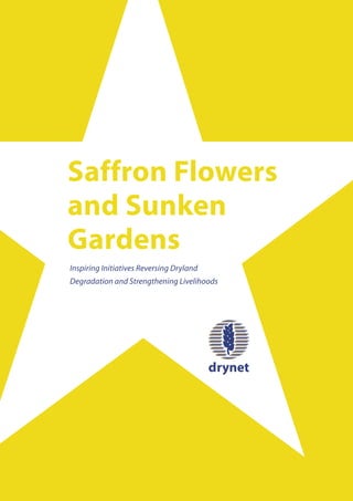 Saffron Flowers
and Sunken
Gardens
Inspiring Initiatives Reversing Dryland
Degradation and Strengthening Livelihoods
 