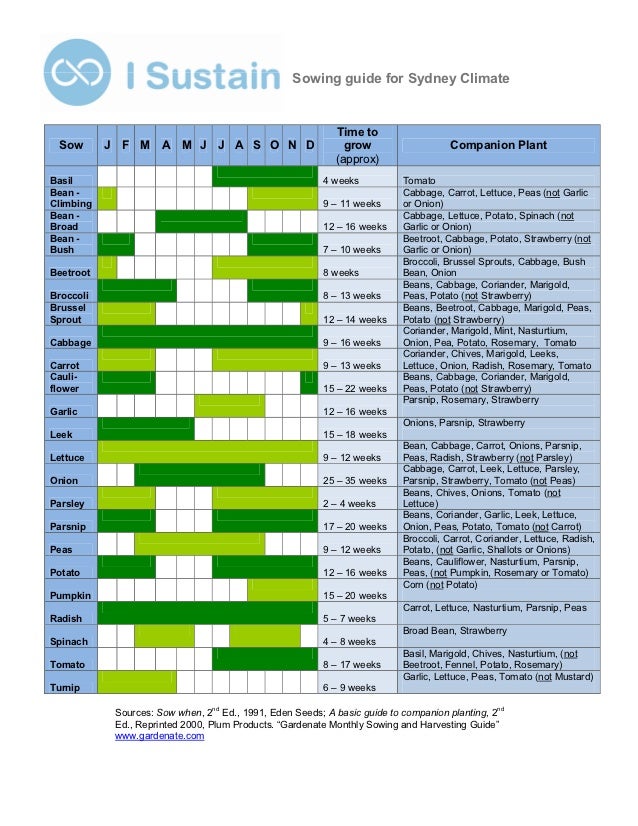 Sowing Guide for Sydney Climate and Companion Plants I Sustain