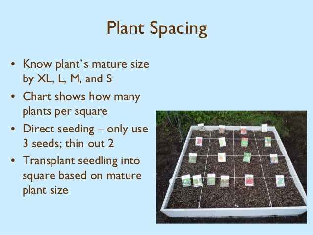 Square Foot Gardening Spacing Chart