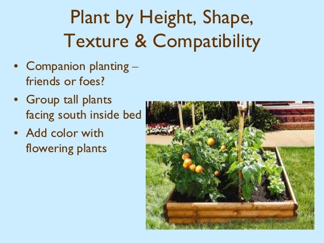 square foot gardening harvest farm community garden vine spacing chart