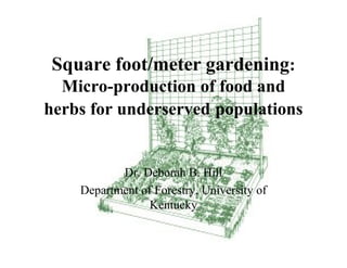 Square foot/meter gardening:
  Micro-production of food and
herbs for underserved populations


           Dr. Deborah B. Hill
    Department of Forestry, University of
                 Kentucky
 