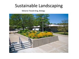 Sustainable Landscaping
   Melanie Trecek-King, Biology
 