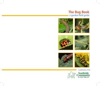 The Bug Book
a garden field guide




         A publication of the
 