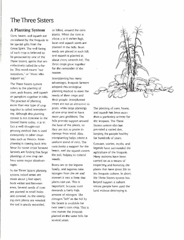 The Three Sisters Exploring an Iroquois Garden