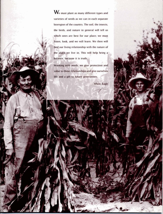 The Three Sisters Exploring an Iroquois Garden