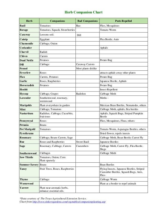 Companion Planting Chart For Vegetables