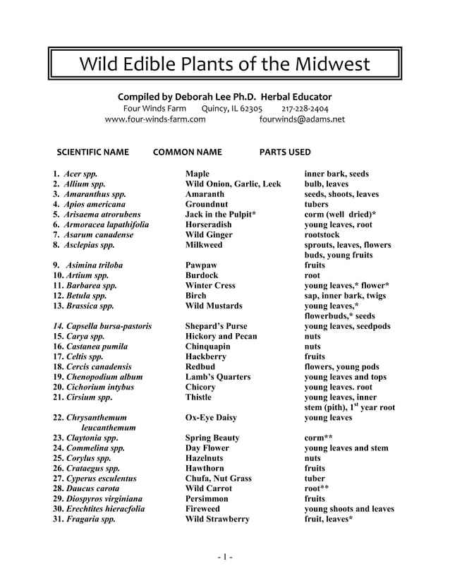 Wild Edible Plants of the Midwest PDF