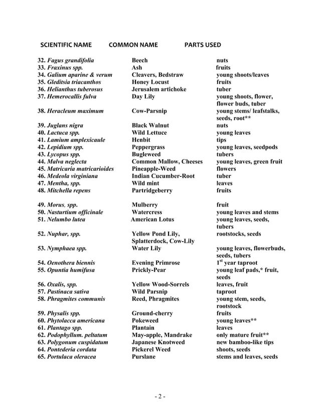 Wild Edible Plants of the Midwest PDF