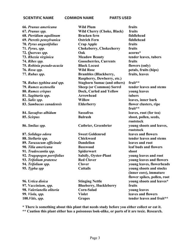 Wild Edible Plants of the Midwest PDF