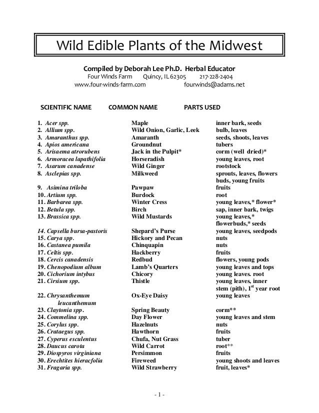 plants chart for ph the of Edible Wild Plants Midwest plants chart for ph the of Edible Wild Plants Midwest