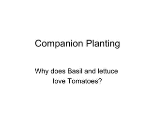 Companion Planting

Why does Basil and lettuce
     love Tomatoes?
 