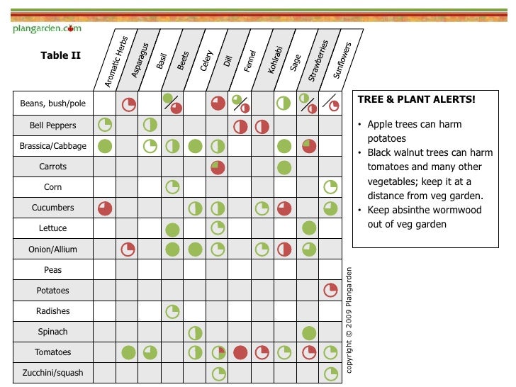 companion planting peppers
