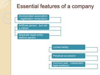 Essential features of a company
Incorporated association
: registration compulsory
Artificial person : but not
a citizen
Separate legal entity :
distinct person
Limited liability
Perpetual succession
Common seal : independent
legal existence
 