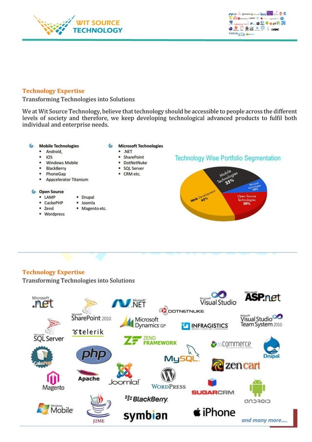 Company profile (wit source technology) | PDF