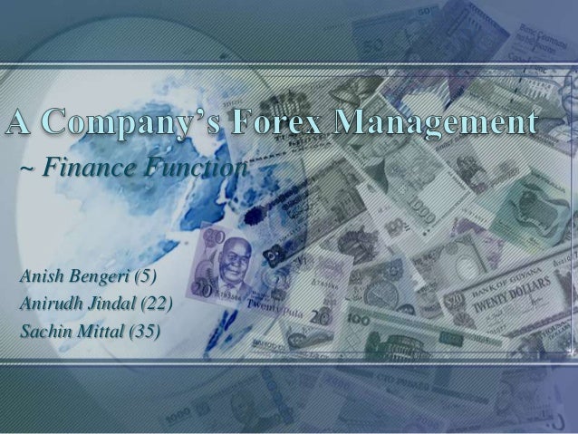 Forex management company