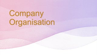 Company
Organisation
 