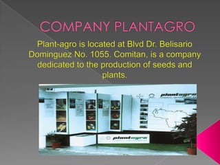 COMPANY PLANTAGRO  Plant-agro is located at Blvd Dr. Belisario Dominguez No. 1055. Comitan, is a company dedicated to the production of seeds and plants. 