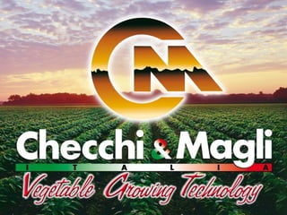 Company presentation Checchi & Magli