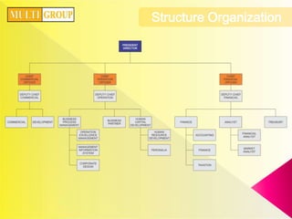 Corporate StructureIntegrated Energy Holding CompanyOil & Gas CompanyPower Plant Company