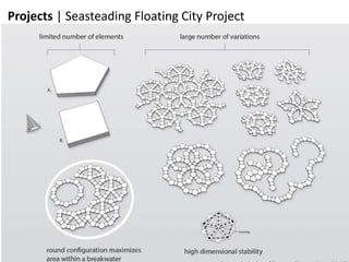 Projects | Seasteading Floating City Project
 