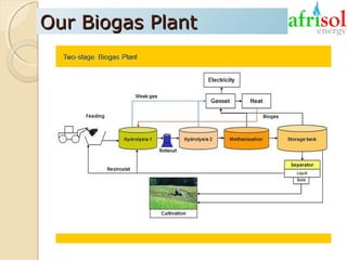 Our Biogas Plant

 