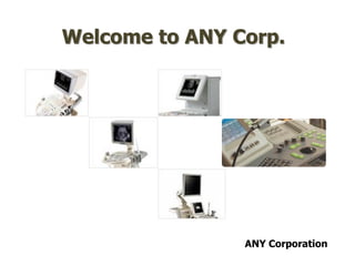 Welcome to ANY Corp.




                ANY Corporation
 