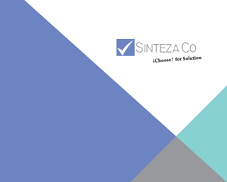 Sinteza Co - Company Profile 2017