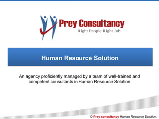 Human Resource Solution An agency proficiently managed by a team of well-trained and competent consultants in Human Resource Solution © Prey consultancy Human Resource Solution. 