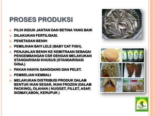 PROSES PRODUKSI
 PILIH INDUK JANTAN DAN BETINA YANG BAIK
 DILAKUKAN FERTILISASI.
 PENETASAN BENIH
 PEMILIHAN BAYI LELE (BABY CAT FISH).
 PENJUALAN BENIH KE KEMITRAAN SEBAGAI
PENGEMBANGAN CSR DENGAN MELAKUKAN
STANDARISASI KHUSUS (STANDARISASI
GiSeL)
 PAKAN HANYA GANGGANG DAN PELET.
 PEMBELIAN KEMBALI
 MELAKUKAN DISTRIBUSI PRODUK DALAM
BENTUK IKAN SEGAR, IKAN FROZEN (DALAM
PACKING), OLAHAN ( NUGGET, FILLET, ASAP,
SIOMAY,ABON, KERUPUK )
 