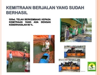 KEMITRAAN BERJALAN YANG SUDAH
BERHASIL
GiSeL TELAH BERKEMBANG KEPADA
KEMITRAAN YANG ADA DENGAN
KEBERHASILAN 90 %.
 