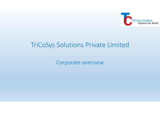 TriCoSys Solutions Private Limited
Corporate overview
 