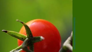 One musician described his profound sense of
meaningfulness when his father attended a
performance of his for the first time and finally came
to appreciate and understand the musician’s work.
http://sloanreview.mit.edu/article/what-makes-work-meaningful-or-meaningless/
 