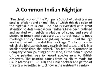 A Common Indian Nightjar 
The classic works of the Company School of painting were 
studies of plant and animal life, of which this depiction of 
the nightjar bird is one. The bird is executed with great 
attention to detail—individual feathers have been outlined 
and painted with subtle gradations of color, and several 
shades of brown and black are used to delineate its body 
markings. The eye has a bright ring around it and the legs 
are textured with parallel line markings. The landscape in 
which the bird stands is only sparingly indicated, and is in a 
smaller scale than the animal. This feature is common in 
Company School paintings of this kind, as the main purpose 
of the painting was to record species new to British 
observers. The painting comes from an album made for 
Claud Martin (1735–1800), the French soldier and patron of 
the arts who settled in Lucknow in the eighteenth century. 
 