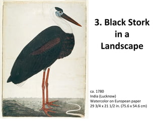 3. Black Stork 
in a 
Landscape 
ca. 1780 
India (Lucknow) 
Watercolor on European paper 
29 3/4 x 21 1/2 in. (75.6 x 54.6 cm) 
 