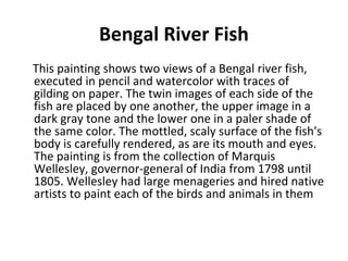 Bengal River Fish 
This painting shows two views of a Bengal river fish, 
executed in pencil and watercolor with traces of 
gilding on paper. The twin images of each side of the 
fish are placed by one another, the upper image in a 
dark gray tone and the lower one in a paler shade of 
the same color. The mottled, scaly surface of the fish's 
body is carefully rendered, as are its mouth and eyes. 
The painting is from the collection of Marquis 
Wellesley, governor-general of India from 1798 until 
1805. Wellesley had large menageries and hired native 
artists to paint each of the birds and animals in them 
 