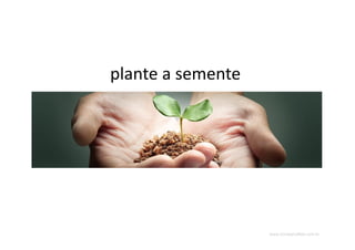 www.CompanyWeb.com.br
plante a semente
 