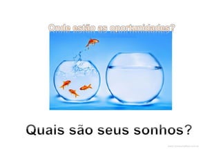 www.CompanyWeb.com.br
 