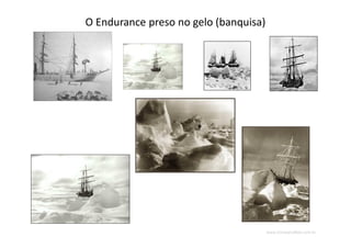 www.CompanyWeb.com.br
O Endurance preso no gelo (banquisa)
 
