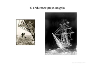 www.CompanyWeb.com.br
O Endurance preso no gelo
 