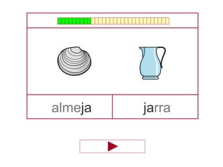 almeja jarra
 