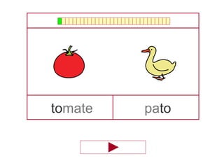 tomate pato
 
