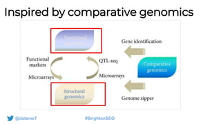@datemeT #BrightonSEO
Inspired by comparative genomics
 